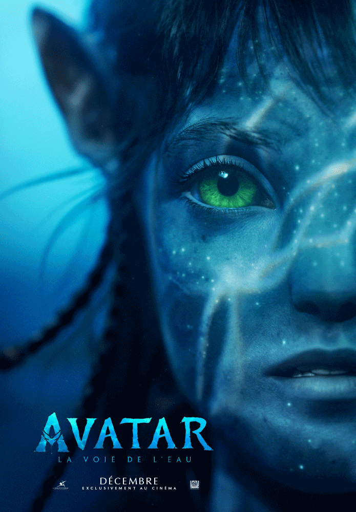 Avatar2 Webdatei Teaser Dom 695x1000px fr