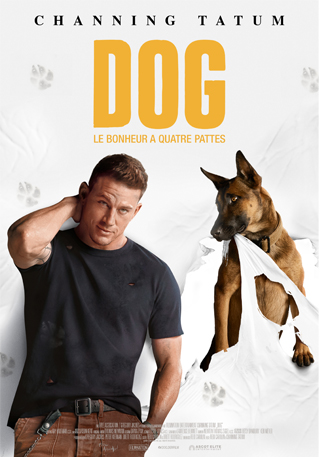 Dog affiche 320x457