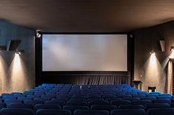 Cami Saal